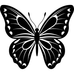 A butter fly silhouette on white background