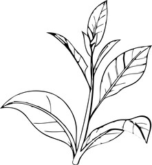 set of leaves