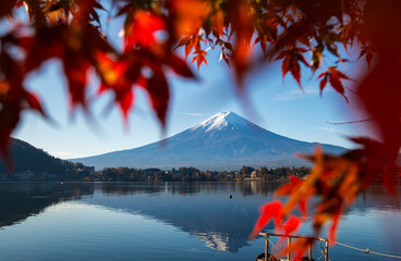 mt fuji in autumn