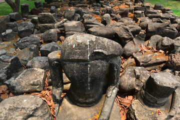 Ancient buddha in the forest
