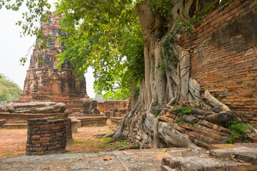 temple in Ayutthaya, Thailand
