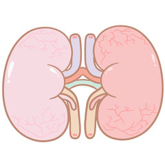 Anatolyte cute pastel