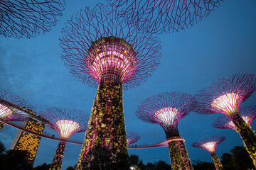 Garden by the bay in Singaporre