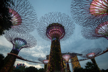 Garden by the bay at Singapore