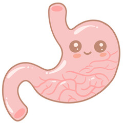 Cartoon Anatomy of the stomach  Pastel Cute