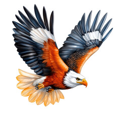 Fototapeta premium Flying eagle with spread wings and sharp eyes showing powerful and dynamic motion in sky