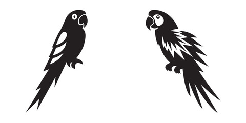 Black silhouette of tropical parrot birds
