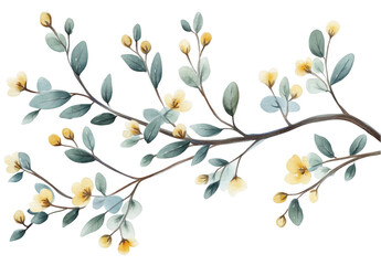 Elegant Floral Branch Watercolor Illustration