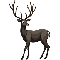 deer vector illustration