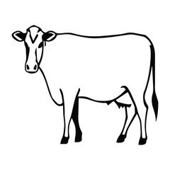 Cow Silhouette icon illustration Vector White Background. Dairy cattle or dairy cow icon