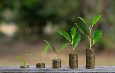 A visual representation of growth, featuring sprouting plants emerging from stacks of coins, symbolizing the concept of financial prosperity and sustainability.