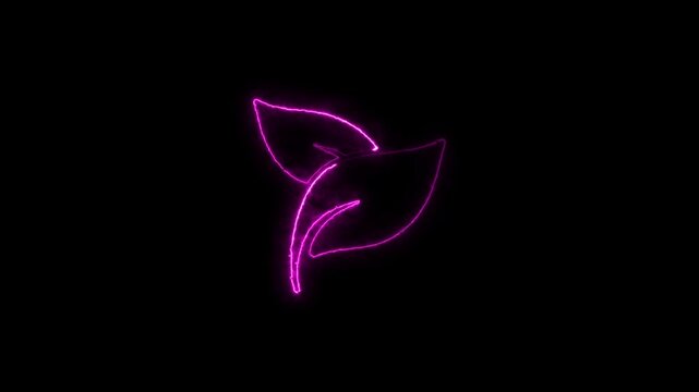 Glowing neon leaf icon animation. Leaves sign. Fresh natural product symbol.