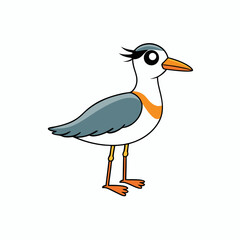 illustration of a plover  bird