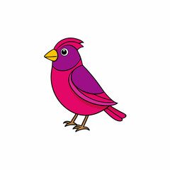 purple  finch  on branch