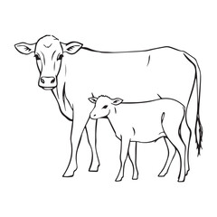 ector cow and calf silhouettes collection