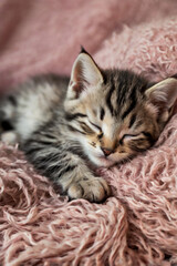 Image is a close-up photograph of a sleeping kitten lying on its back.