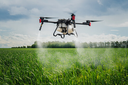 An industrial drone on green field and sprays useful pesticides to increase productivity and destroy harmful insects. increase productivity. Modern technologies in agriculture