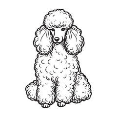 Line art of Standard poodle dog sitting cartoon vector