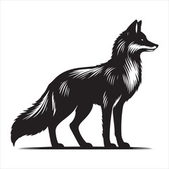 Fototapeta premium Silhouette vector of a fox standing on a white background