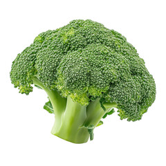 Fresh green broccoli displayed against a white background for culinary photography and food presentation, Fresh green broccoli isolated, isolated on white background