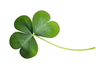 Let a four leaf clover bring a little more luck and positivity into your day
