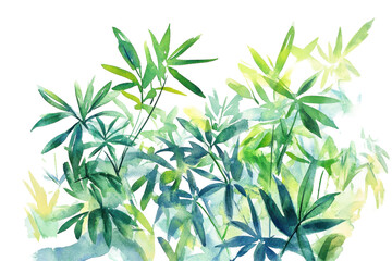 Fototapeta premium Green watercolor leaf captured in transparent PNG isolated on white background for artwork