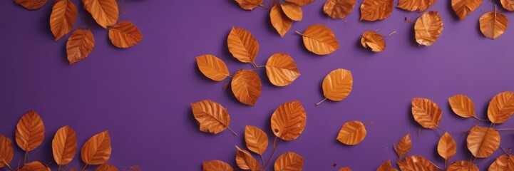 Dried orange leaves, violet backdrop  Geometric, autumnal design ,  foliage,  color