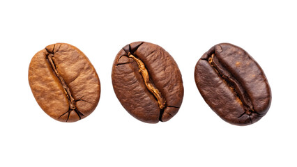 Fototapeta premium Three roasted coffee beans isolated on a white background png ai
