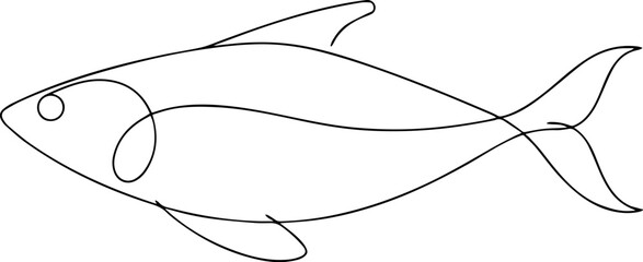 hilsa fish outline one line vector drawing