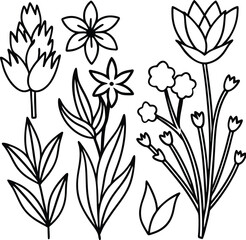 Flowers line art silhouette on white background