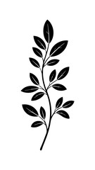 vector silhouette of leafy botanical branch  illustration