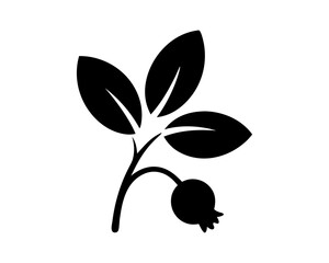 Pomegranate Branch Silhouette Icon with Leaves Vector Illustration