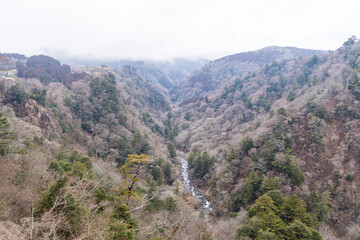 大分県の巨大な吊り橋から見る雄大な自然