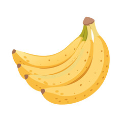 Bananas: The Delicious and Nutritious Fruit