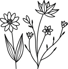 Obraz premium Flowers line art silhouette on white background