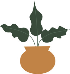 plant in pot