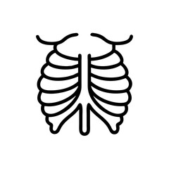ribs