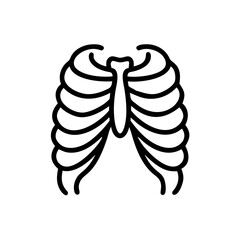 ribs