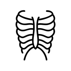 ribs