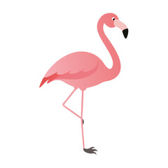 Flamingo: The Elegant Pink Wader