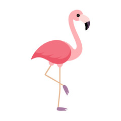 Fototapeta premium Flamingo: The Elegant Pink Wader