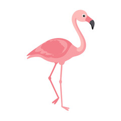 Flamingo: The Elegant Pink Wader