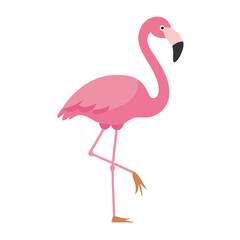 Flamingo: The Elegant Pink Wader