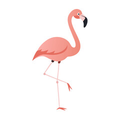 Flamingo: The Elegant Pink Wader