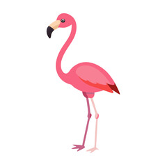 Flamingo: The Elegant Pink Wader