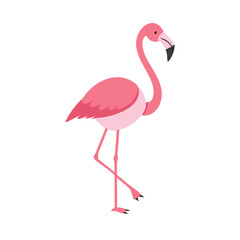 Flamingo: The Elegant Pink Wader