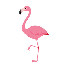 Flamingo: The Elegant Pink Wader