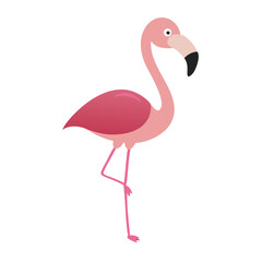Flamingo: The Elegant Pink Wader