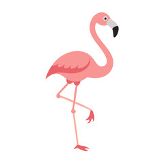 Flamingo: The Elegant Pink Wader