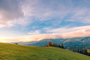 Green hills of Carpathian mountains in sunrise light under a beautiful cloudy sky. Ukraine.